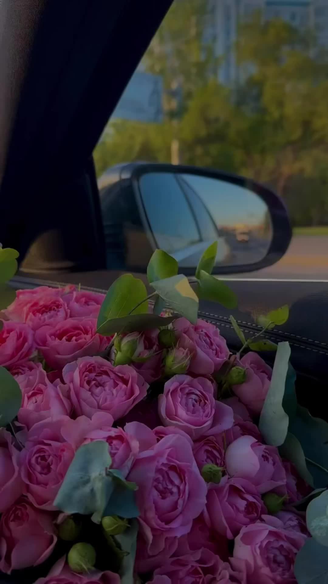 Velvet Dream Sophisticated Rose Medley